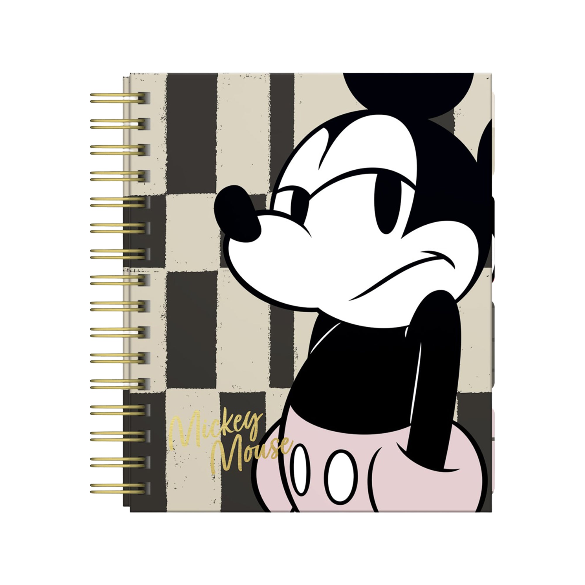 20481