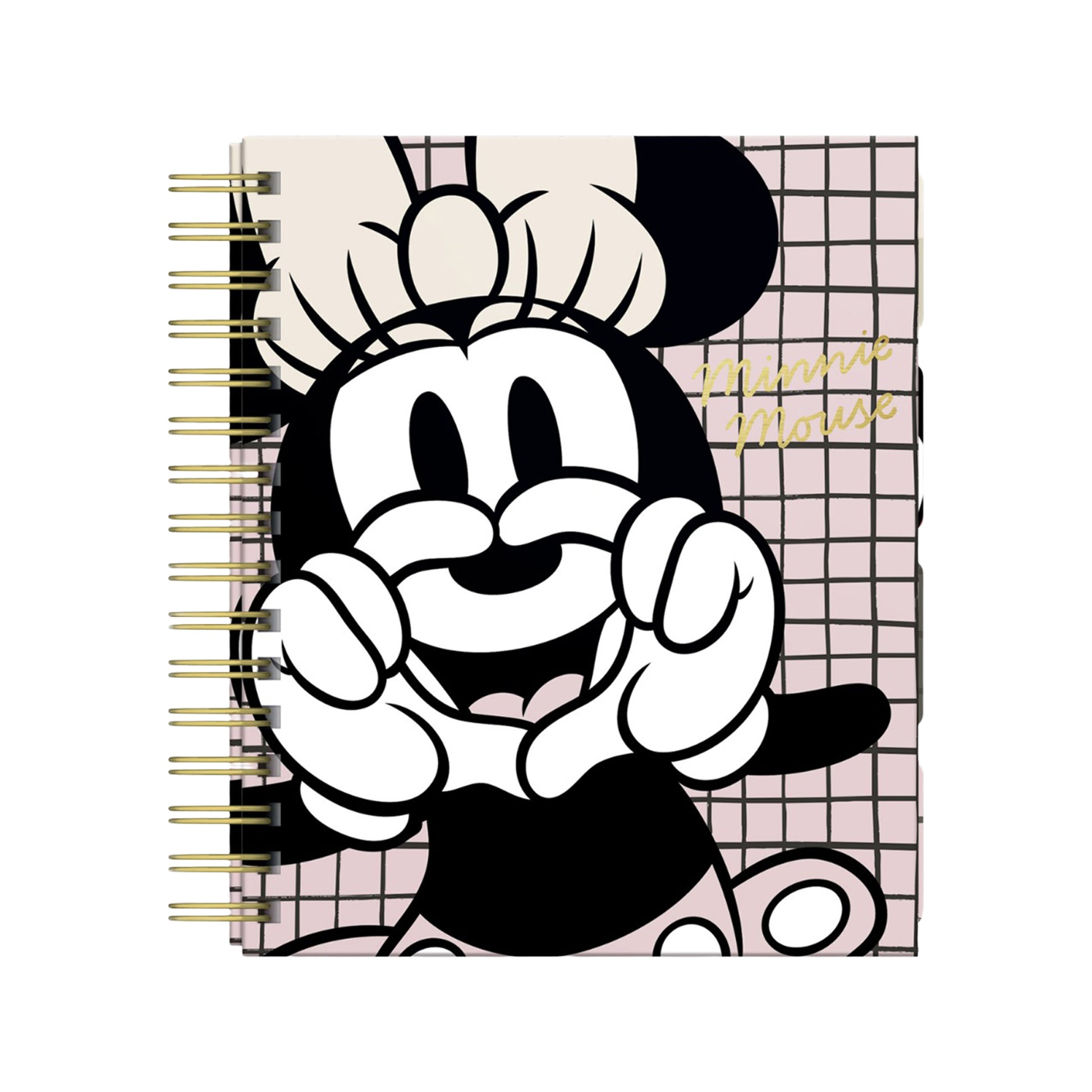 20481
